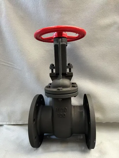 GOST Standard Parallel Double Disc Gate Valve